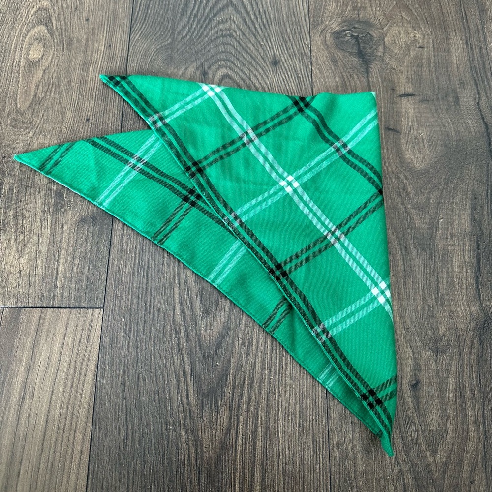 gogo Martingale Green Dog Collar & Plaid Bandana - Picture 4 of 5